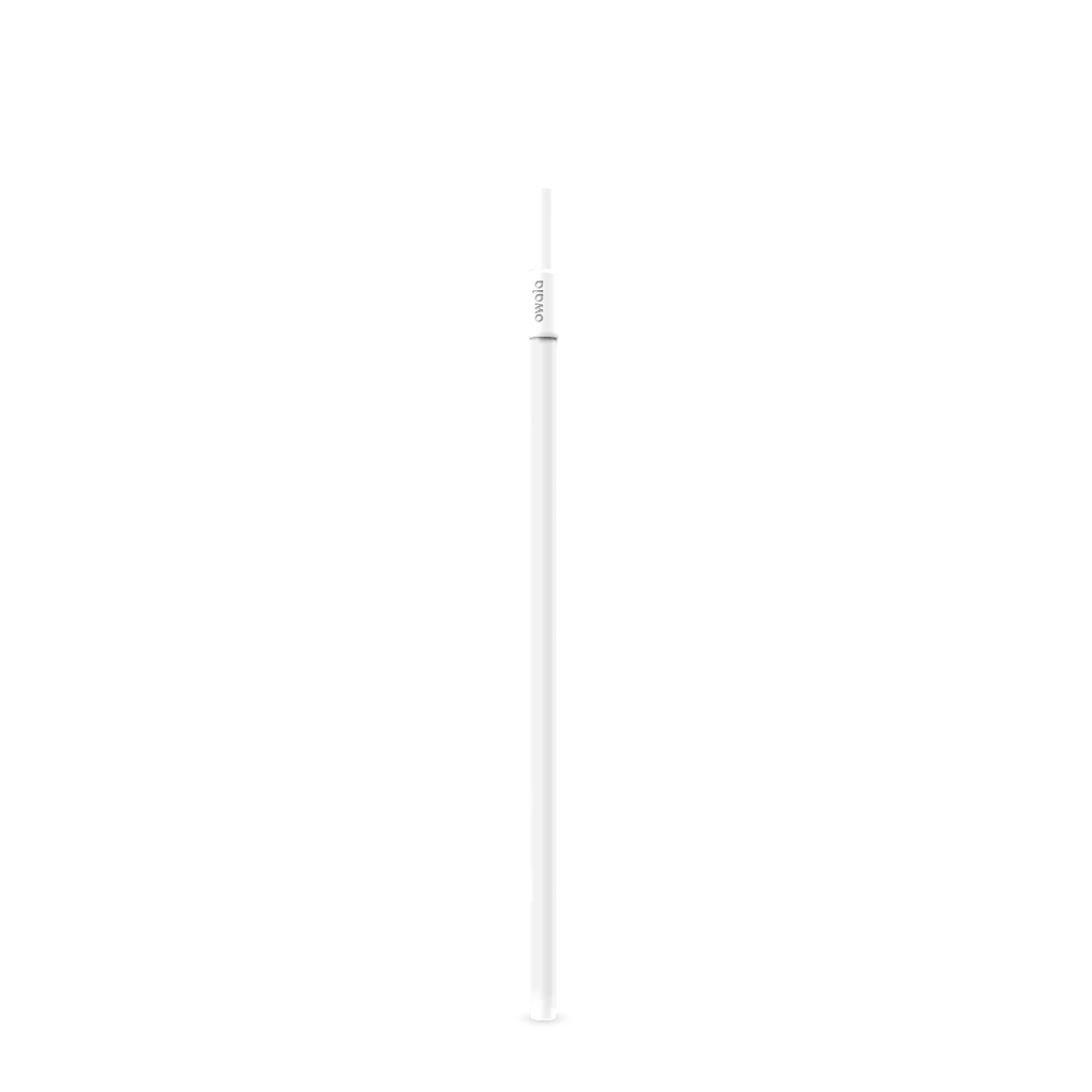 Replacement Straws F6