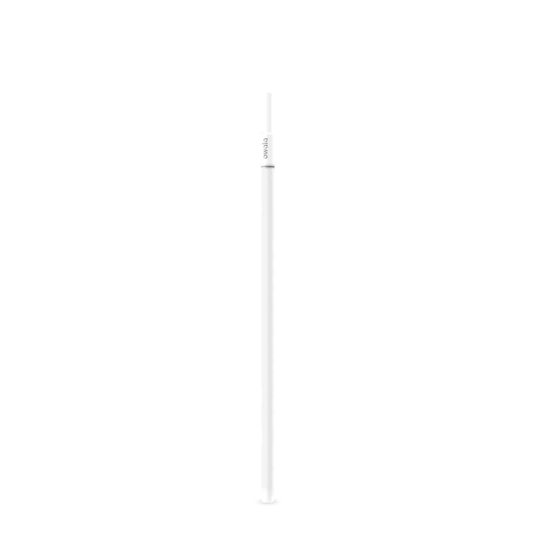 Replacement Straws F6
