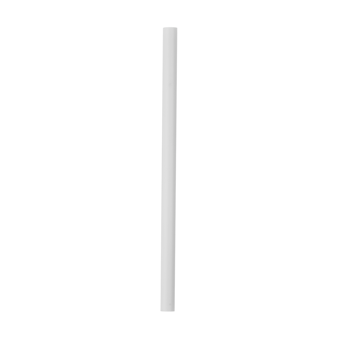 Replacement Straws F6